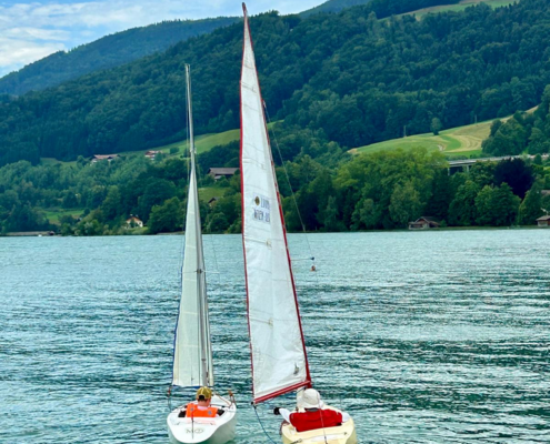 Mondsee21_small