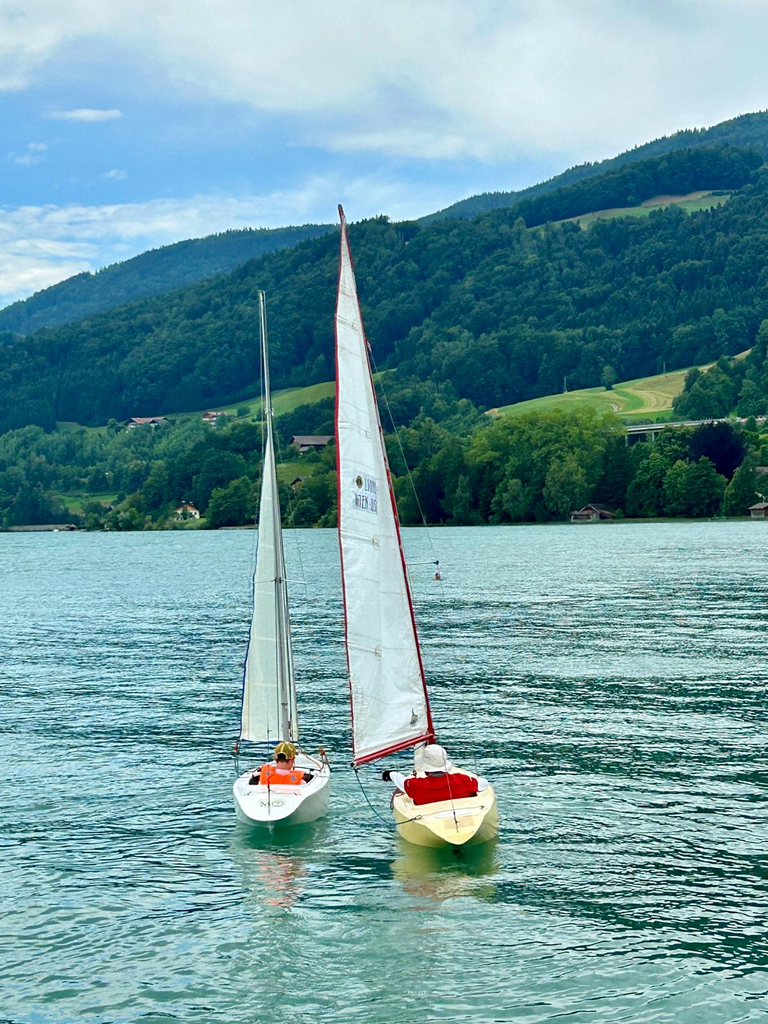 Mondsee21_small
